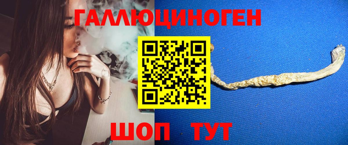 Псилоцибиновые грибы MAGIC MUSHROOMS  Вход с VPN  Ижевск 
